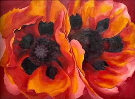 Oriental Poppies