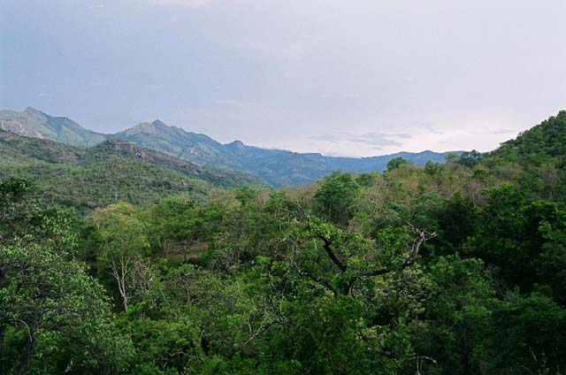 Any which way you look Any which way you look