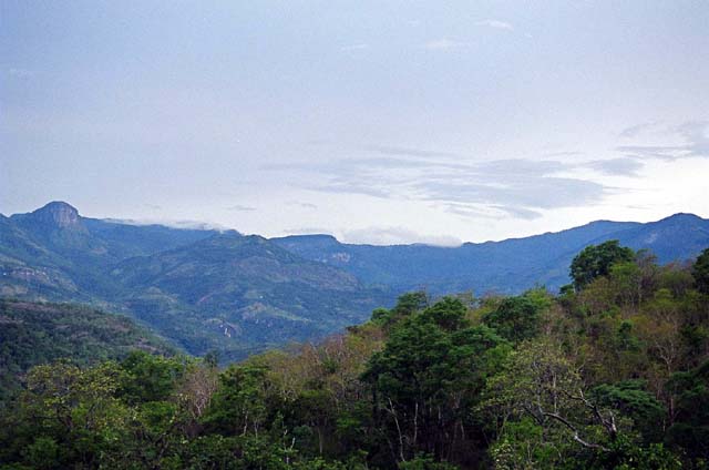 Some Blue! Some Blue!