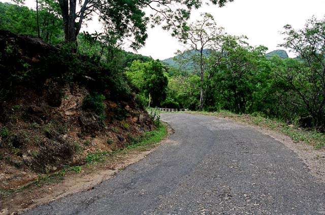 Road Ahead Road Ahead