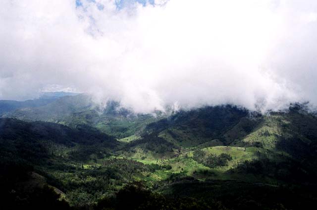 Tower Shot 1 Tower Shot 1