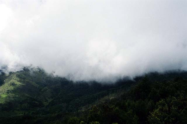 Tower Shot 2 Tower Shot 2