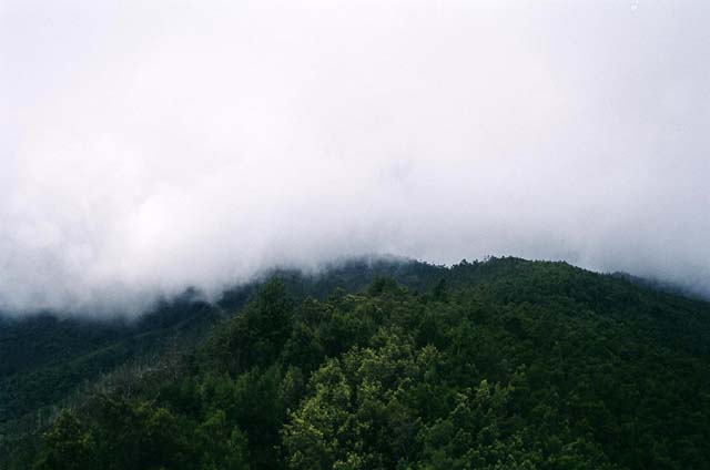 Tower Shot 3 Tower Shot 3