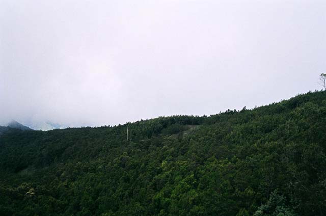 Tower Shot 5 Tower Shot 5