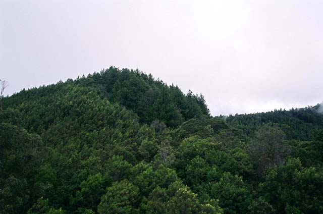 Tower Shot 6 Tower Shot 6