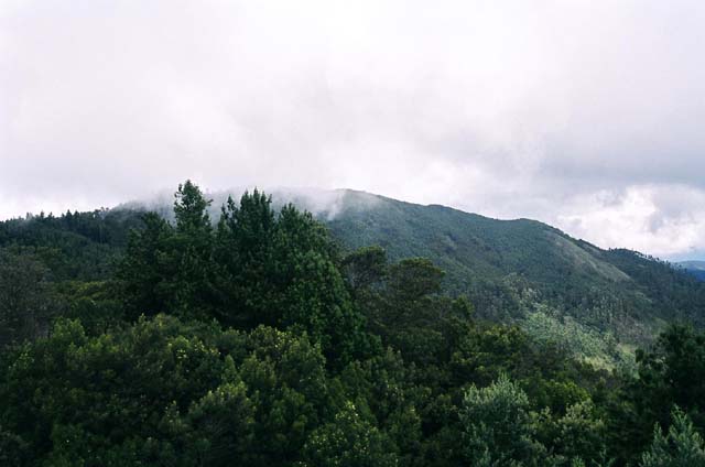 Tower Shot 7 Tower Shot 7