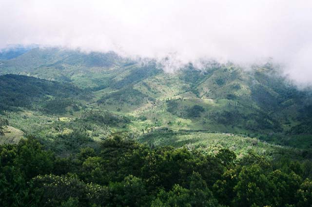 Tower Shot Low Tower Shot Low