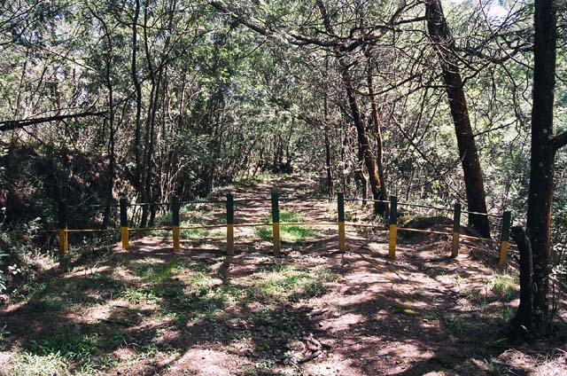 Road Barred Road Barred