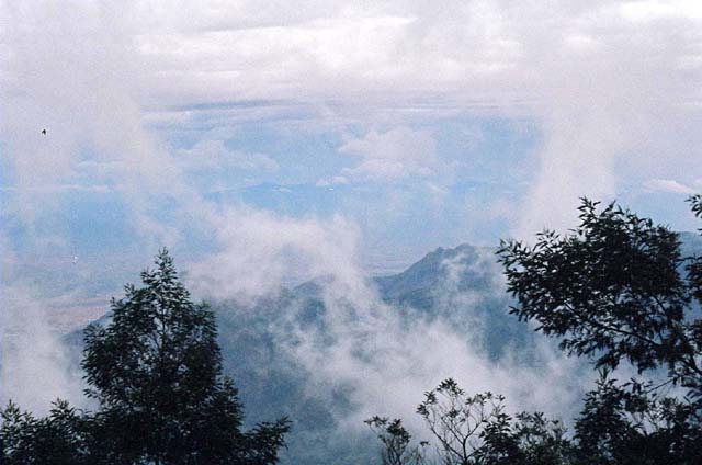 Fog Shot 2 Fog Shot 2