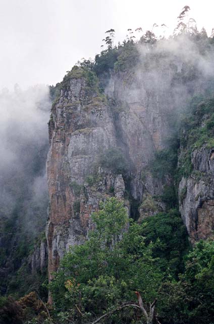 Fog Shot 3 Fog Shot 3