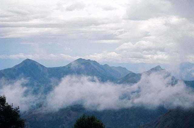 Munnar view