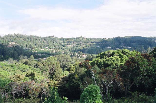Kodai Valley Kodai Valley