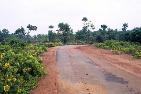 On The Road On The Road