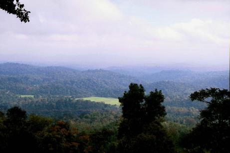 Near Trail Head Near Trail Head