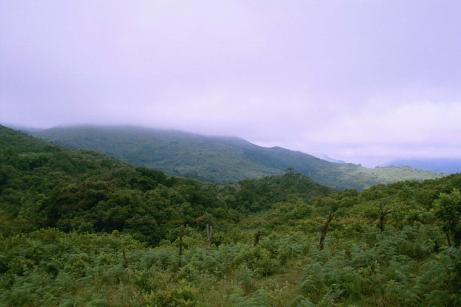 The coffee stop The coffee stop