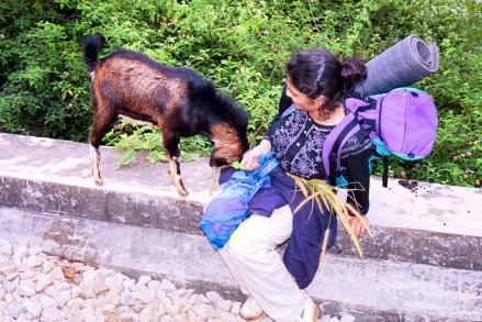 Tiger, Tiger, Burning Bright Tiger, Tiger, Burning Bright