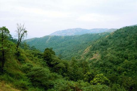 Green View Green View