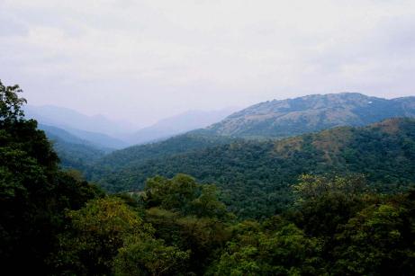 Green View Green View