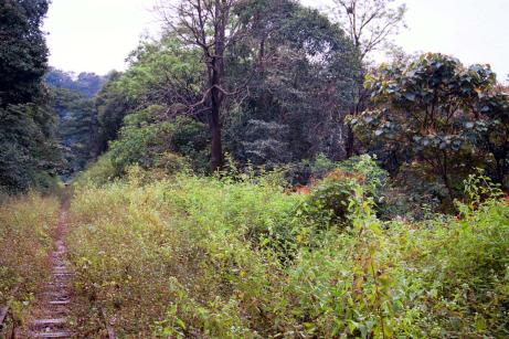 Nature-Mine, All Mine. Nature-Mine, All Mine.