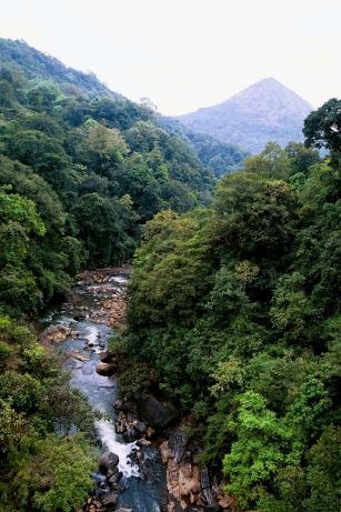 The river goes The river goes