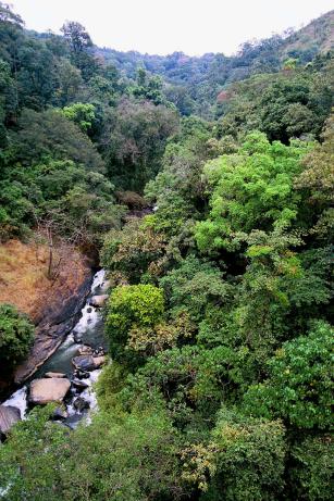 The river comes The river comes