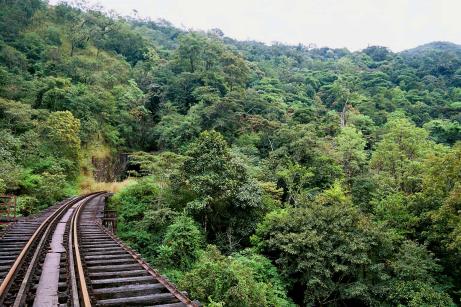 The tunnel ahead The tunnel ahead