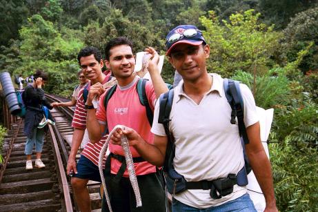 Dead Snake Dead Snake