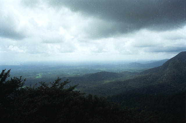 The valleys and the forests